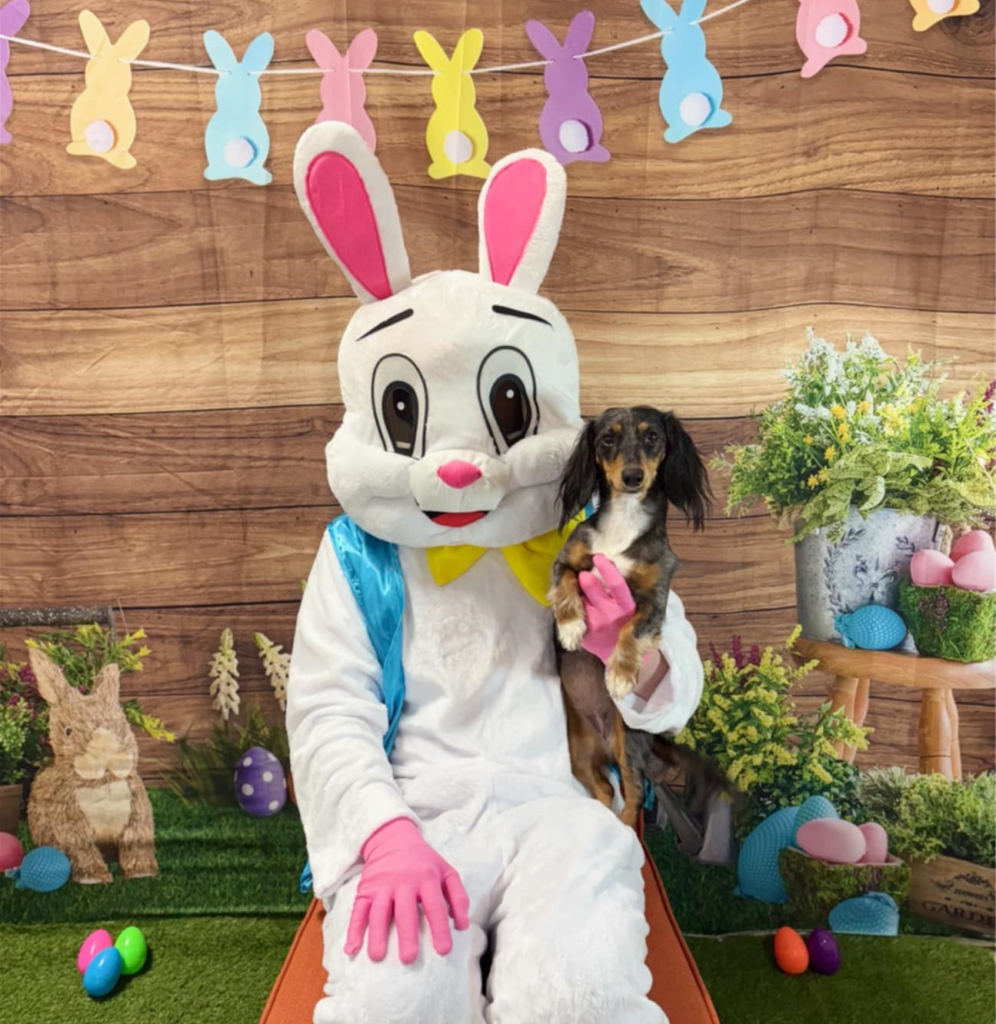 A dog posing with the Easter Bunny