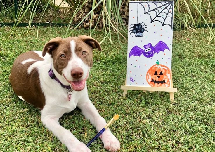 Halloween arts and crafts day at Pawsh Park