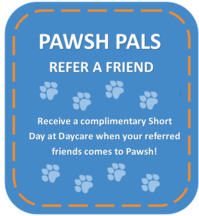 Pawsh Pals Refer a Friend: receive a complimentary Short Day at Daycare when your referred friend comes to Pawsh