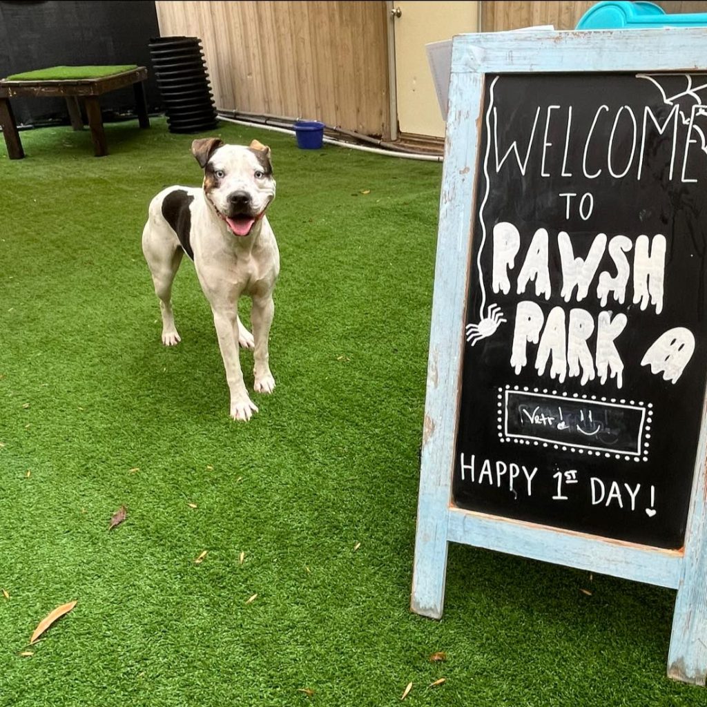 Pawsh Park