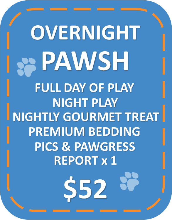 Overnight Pawsh