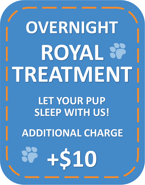 Overnight Royal Treatment