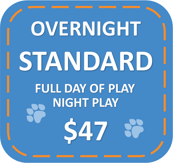 Overnight Standard Package