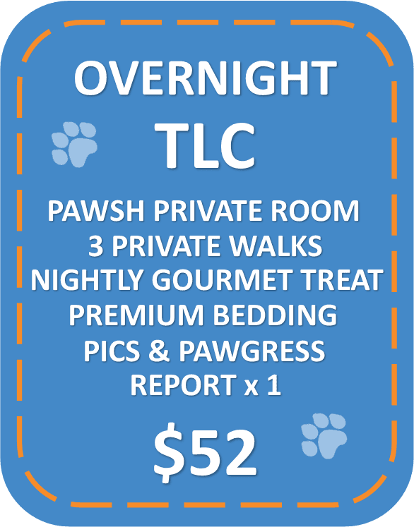 Overnight TLC Package